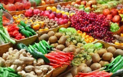 Ossiam taps Iceberg Data Lab’s biodiversity expertise in building “Food for Biodiversity” ETF