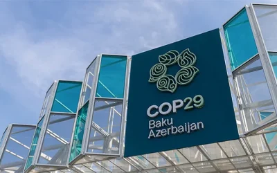 COP29: Calls for Faster Climate Finance Decisions
