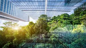 Can Investors Help Prevent the Sixth Mass Extinction?